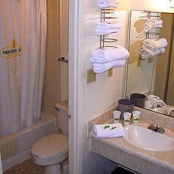 Motel 6 Columbia - University Of South Carolina 部屋 写真